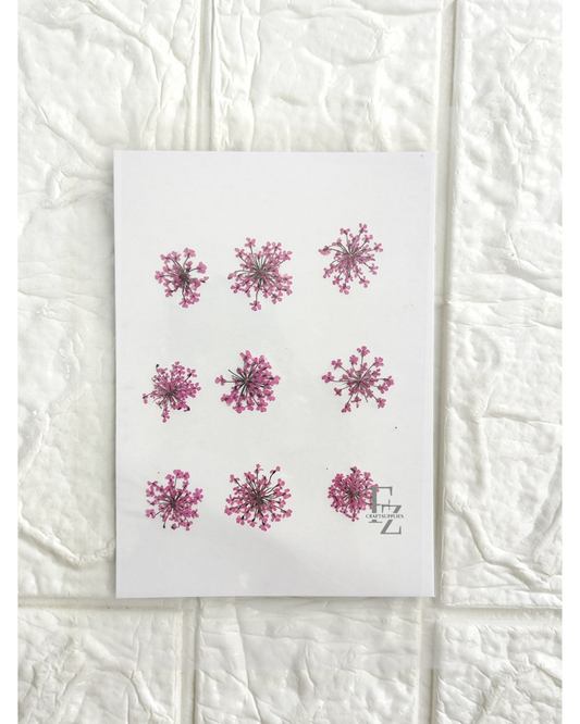 Queen Anne's Lace - Rani Pink