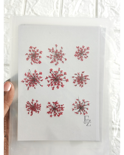 Queen Anne's Lace - Red