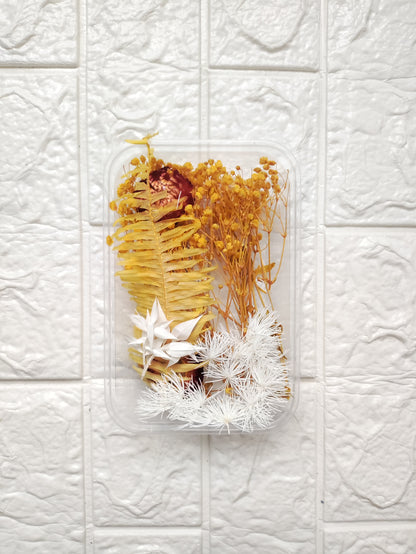 Dry Flower Box - B2