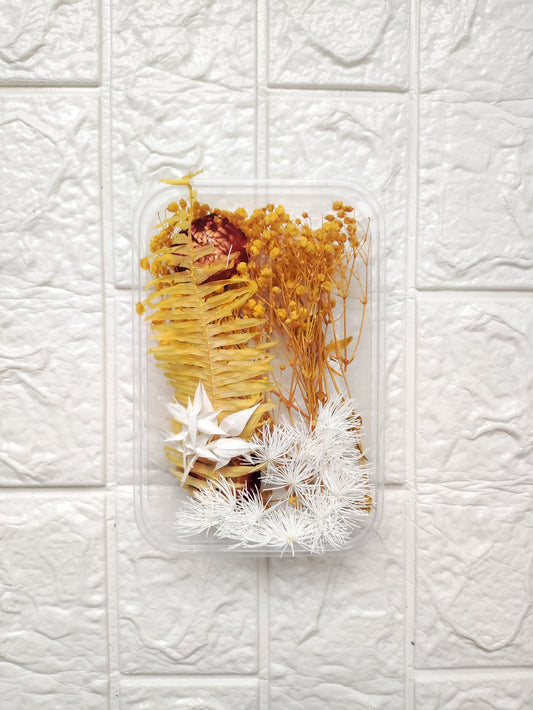 Dry Flower Box - B2