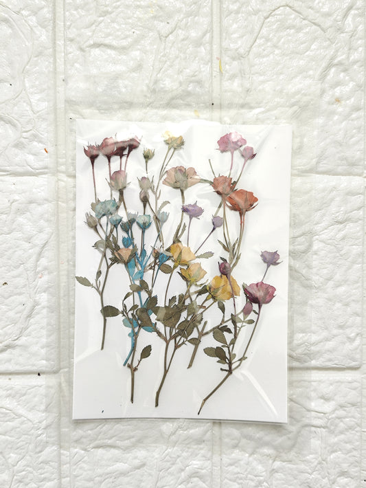 Pressed Rose Branches