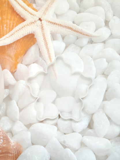 5 Inch Flower Coaster Mould