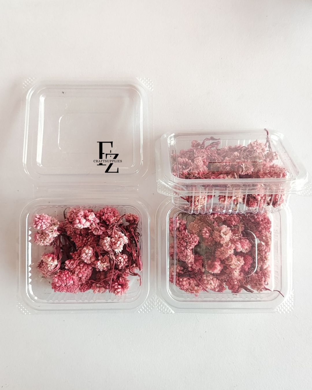 Himalayan Daises - Red