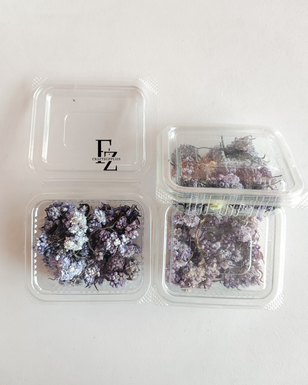 Himalayan Daises - Violet