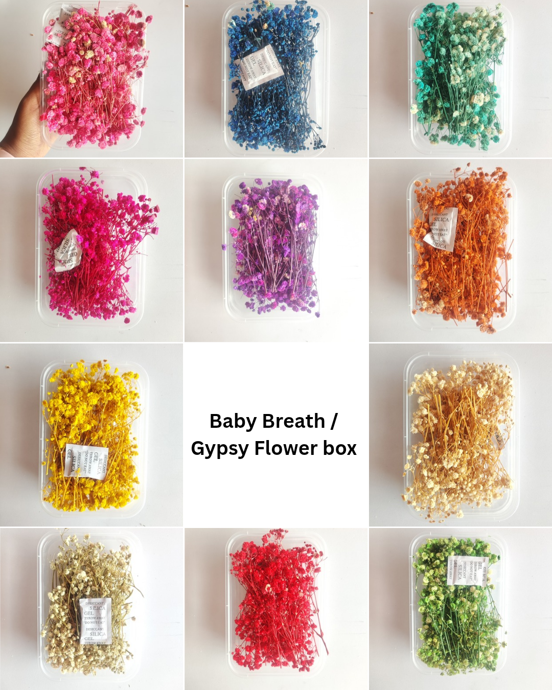 Baby Breath/ Gypsy Dry Flower Box