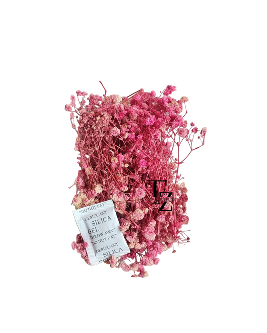 Dry Baby Breath/ Gypsy Box - Pink