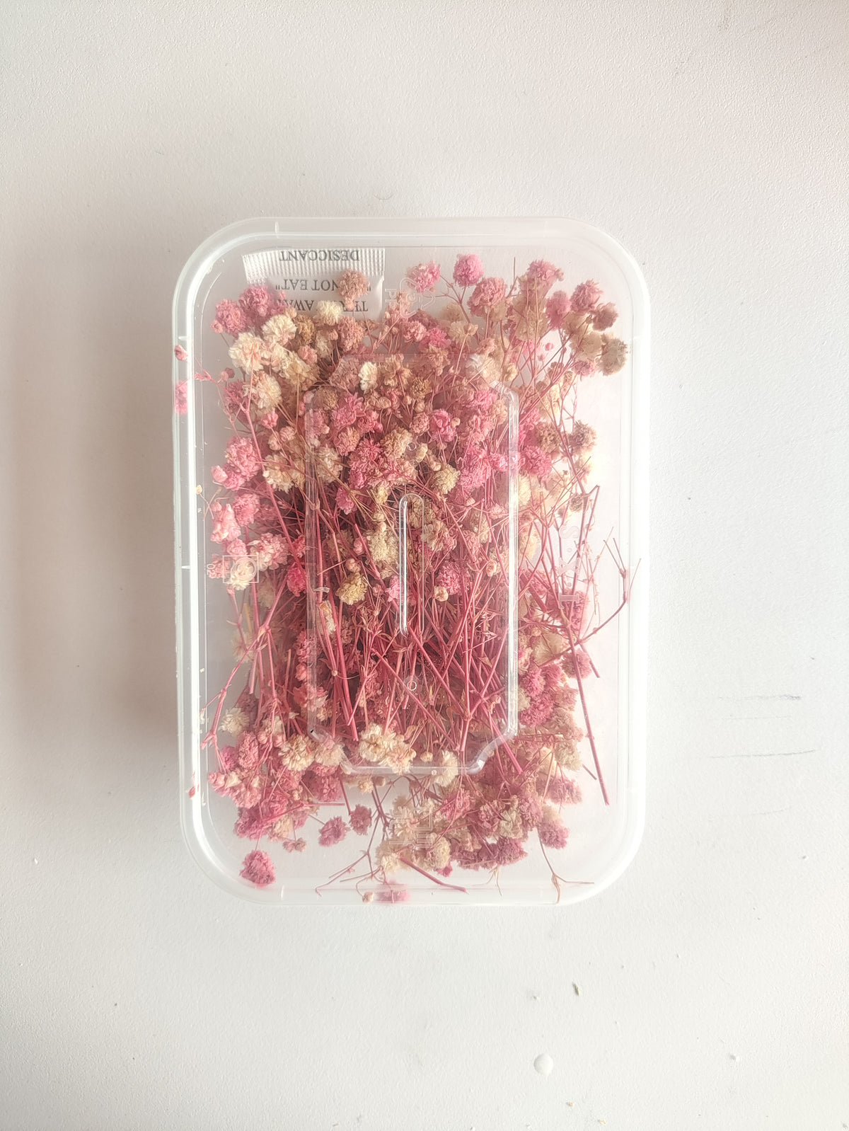 Baby Breath/ Gypsy Dry Flower Box