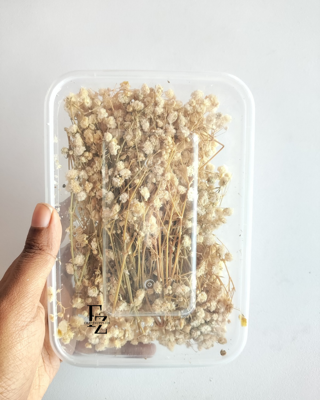 Dry Baby Breath/ Gypsy Box - White
