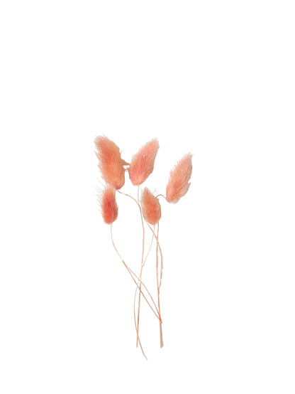Bunny Tails Orange - 5 Pieces