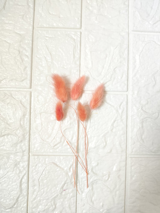 Bunny Tails Orange - 5 Pieces