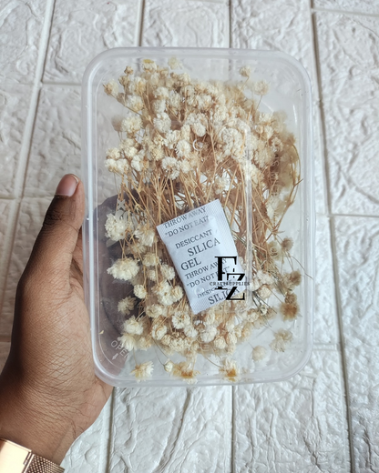 Dry Baby Breath/ Gypsy Box - Cream