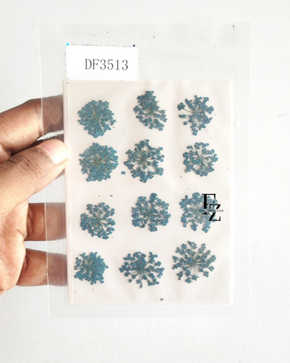 Queen Anne's Lace - Blue