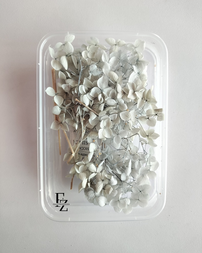 Hydrangea Dry Flower Box D51 - Grey