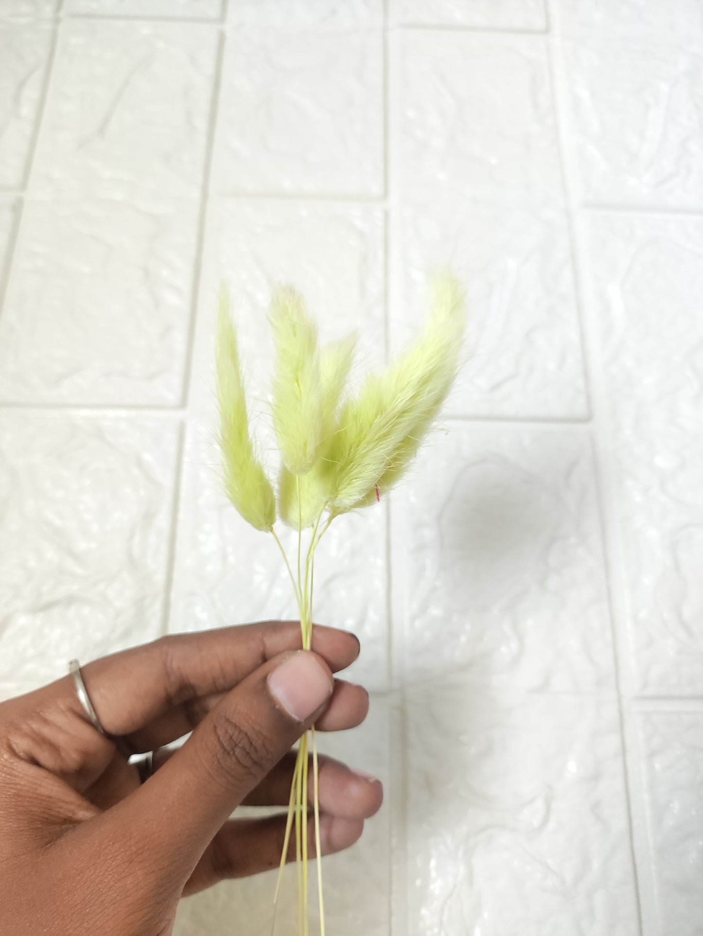Bunny Tails Green - 5 Pieces