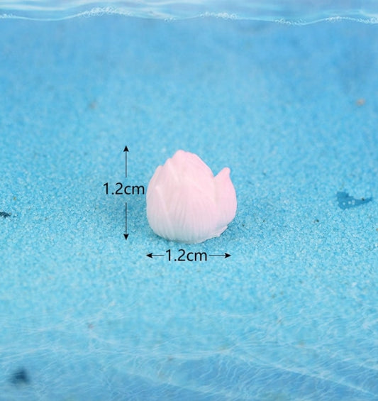 Lotus Miniature - Small