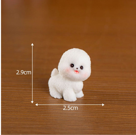 Pomeranian Puppy Miniature