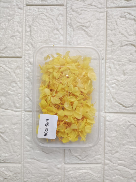 Dry Hydrangea Box - Yellow