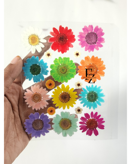 Mixed daisy Peel off Sticker