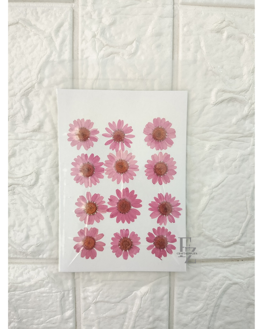 Pressed Daisy - D. Pink