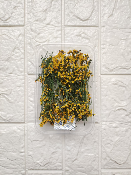 Dry Flower Box - B21