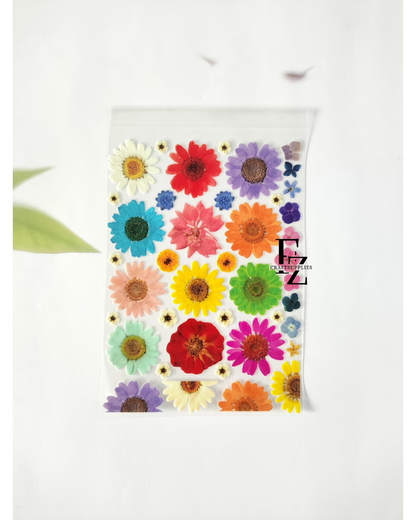 Mix Daisy Peel off Sticker