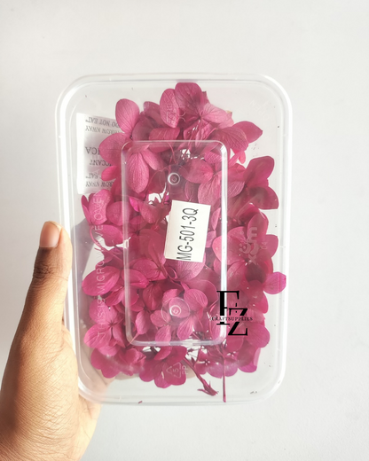 Hydrangea Dry Flower Box D51 - Magenta