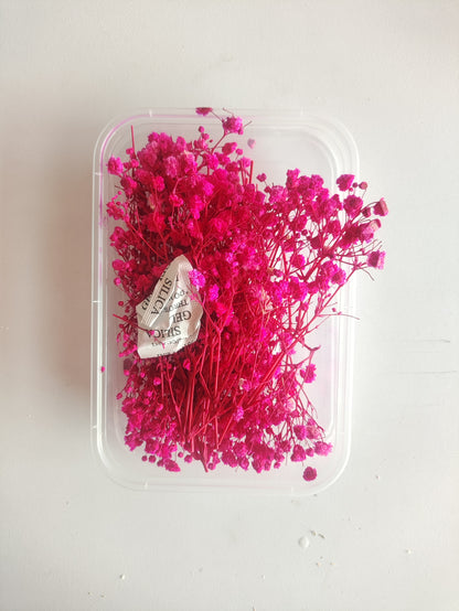 Baby Breath/ Gypsy Dry Flower Box