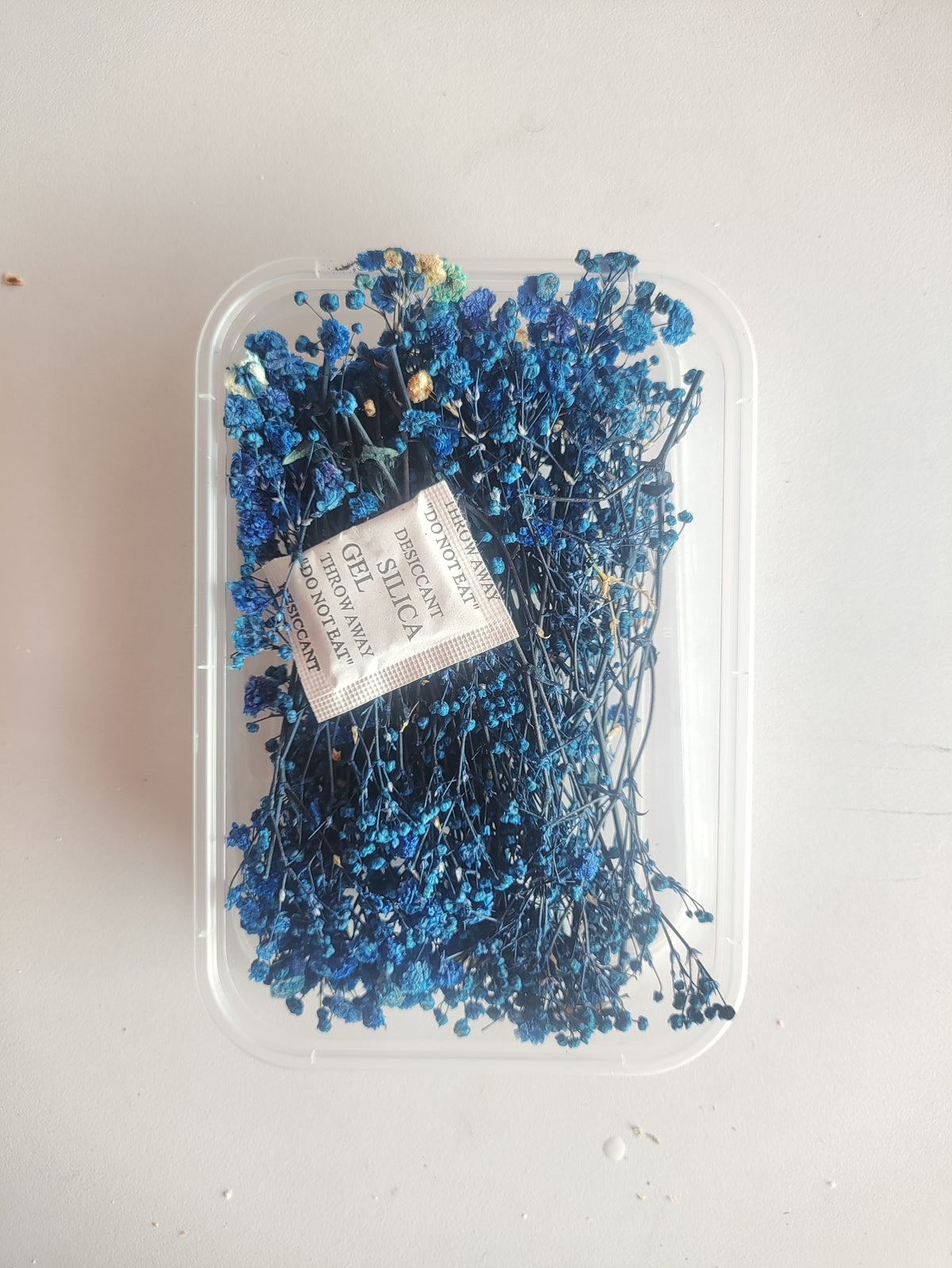 Baby Breath/ Gypsy Dry Flower Box