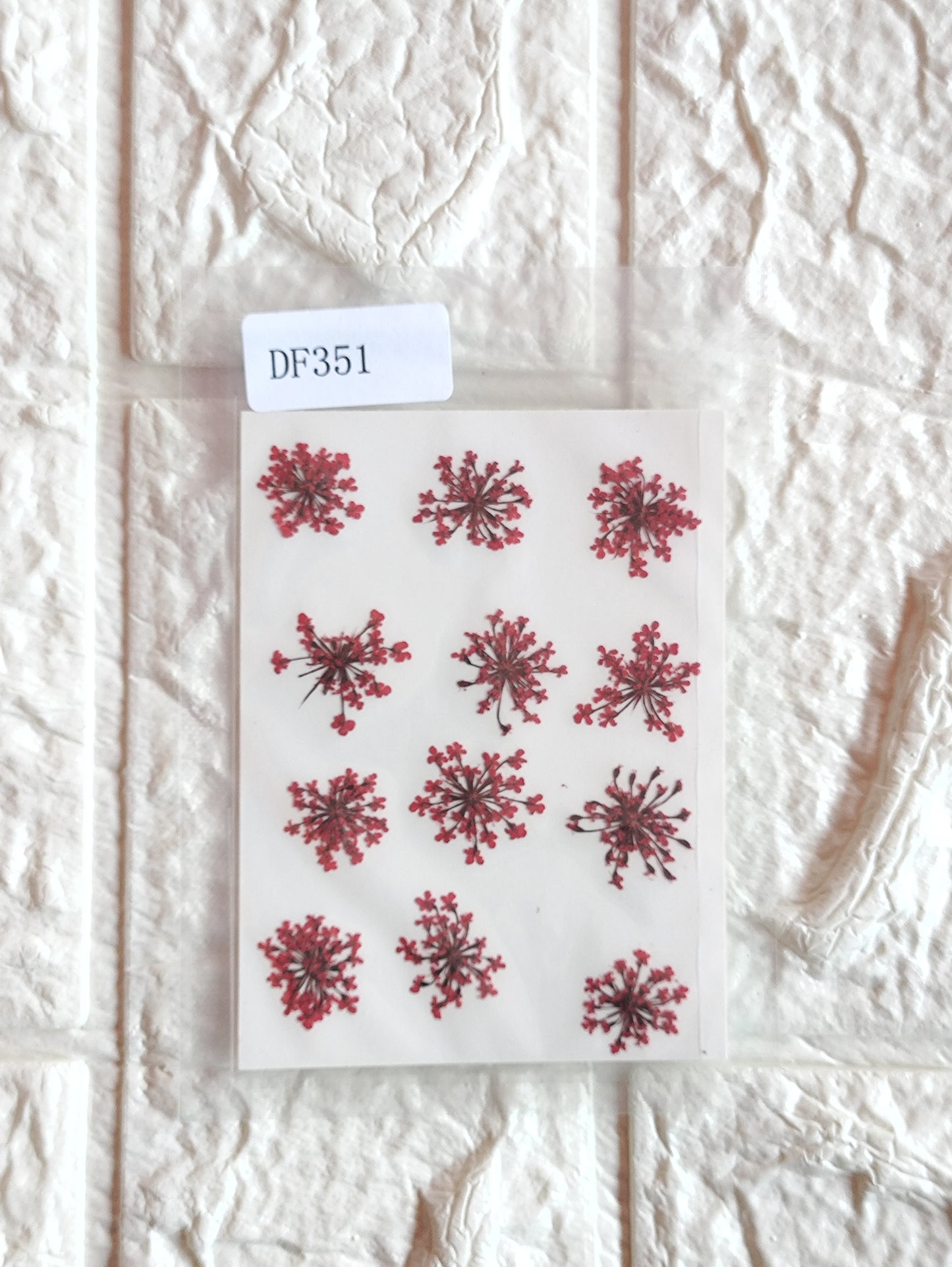 Queen Anne's Lace - Red