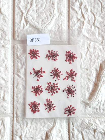 Queen Anne's Lace - Red