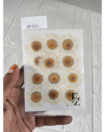 Half White Daisy Flower Sheet