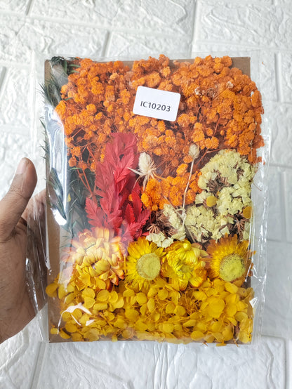 Dry Flower Pack D1