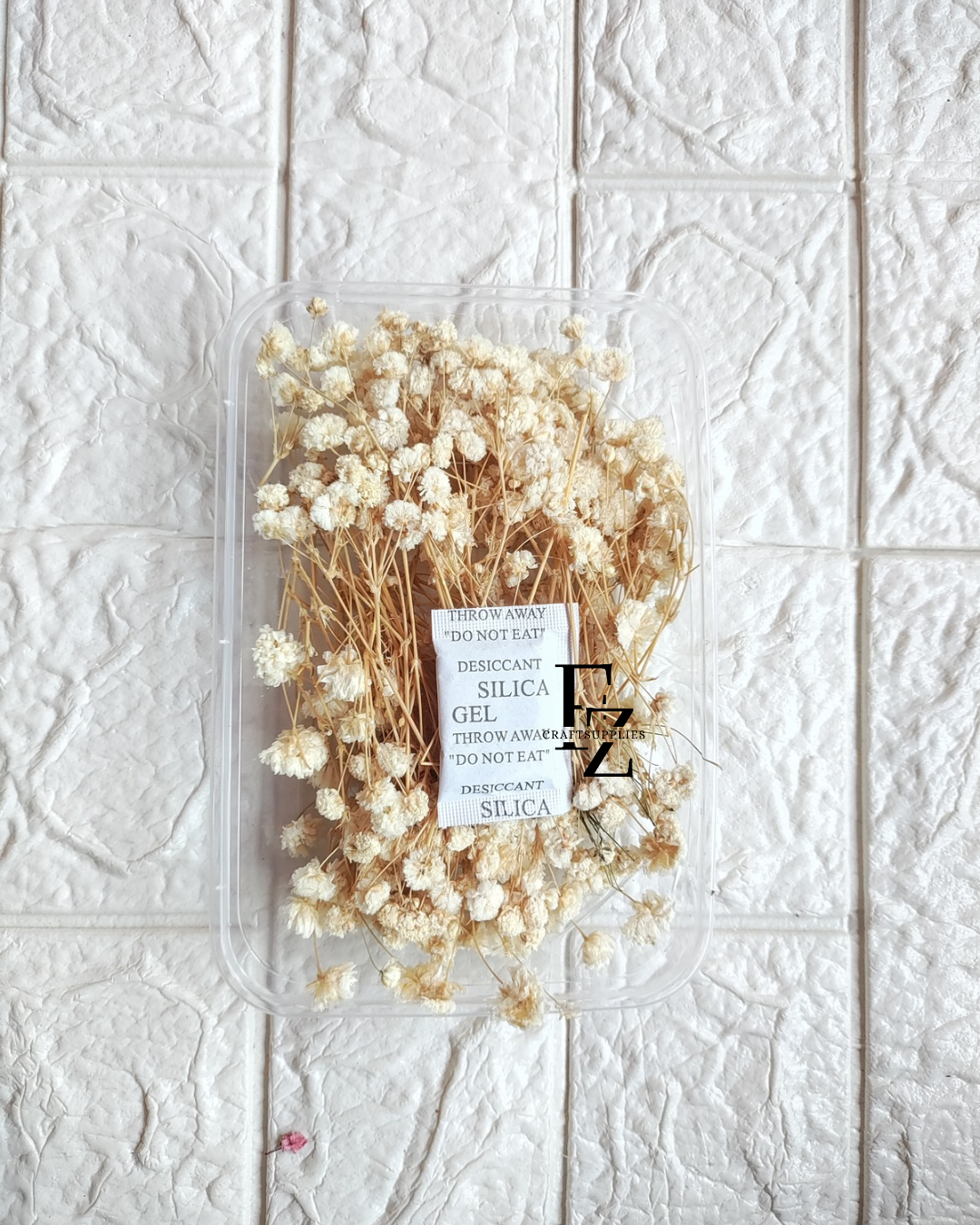 Dry Baby Breath/ Gypsy Box - Cream