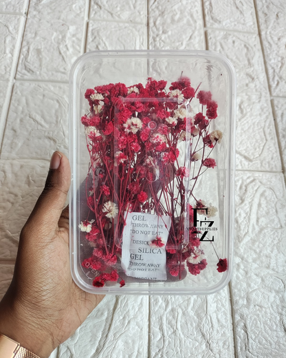 Dry Baby Breath/ Gypsy Box - Red