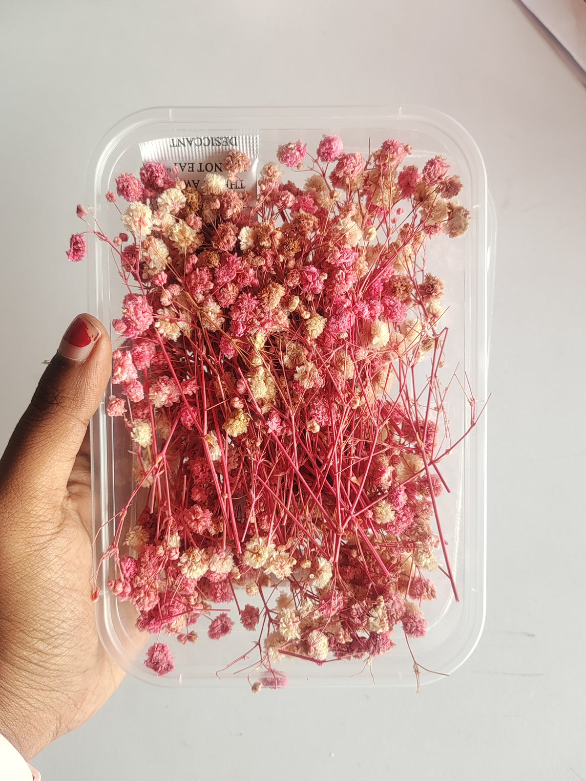 Baby Breath/ Gypsy Dry Flower Box