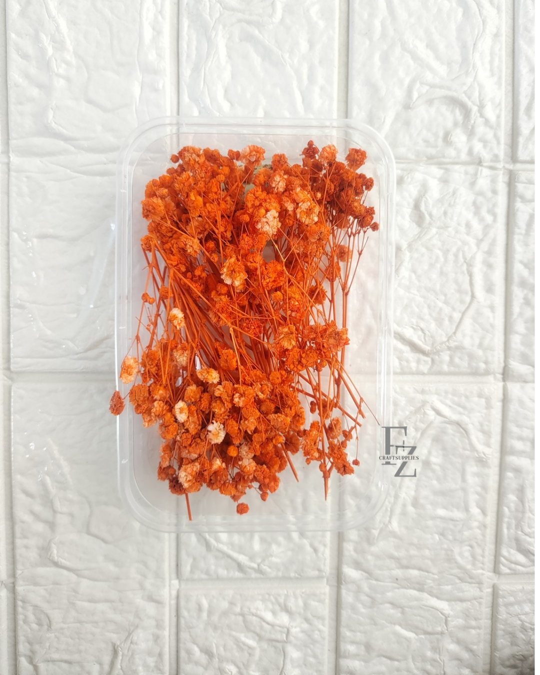 Baby Breath - Orange