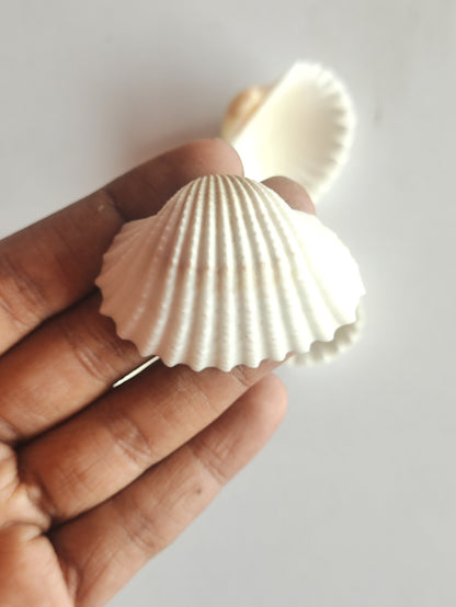 Sea Shells for Resin - 4 Pieces