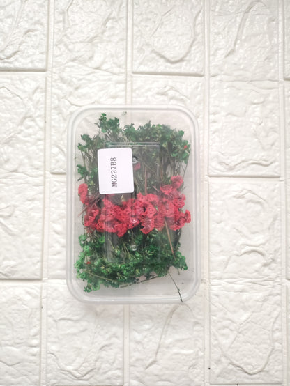 Dry Flower Box - B24