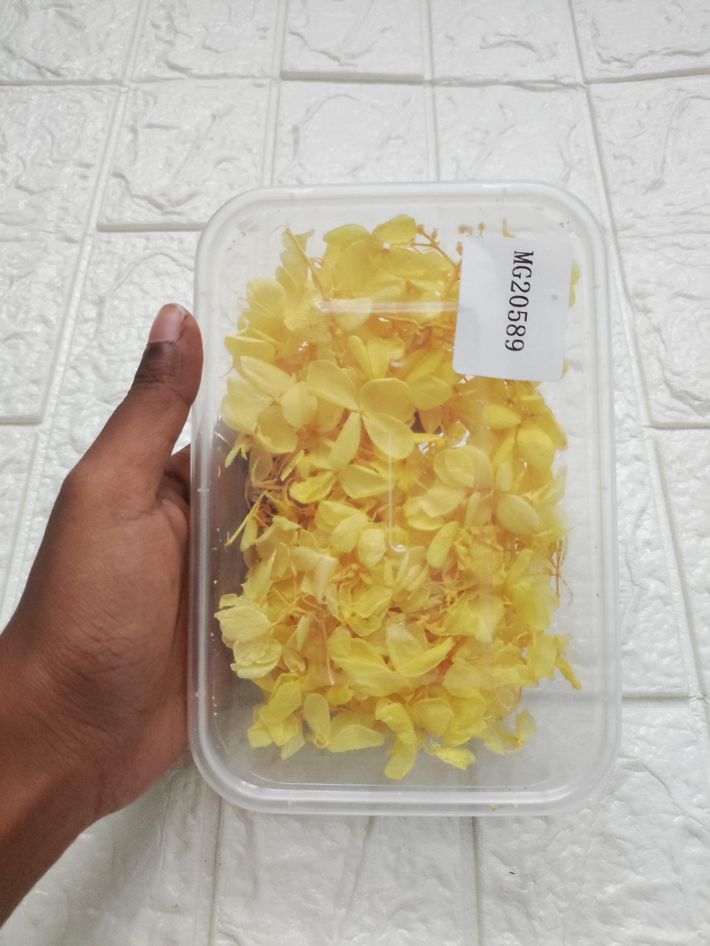 Dry Hydrangea Box - Yellow