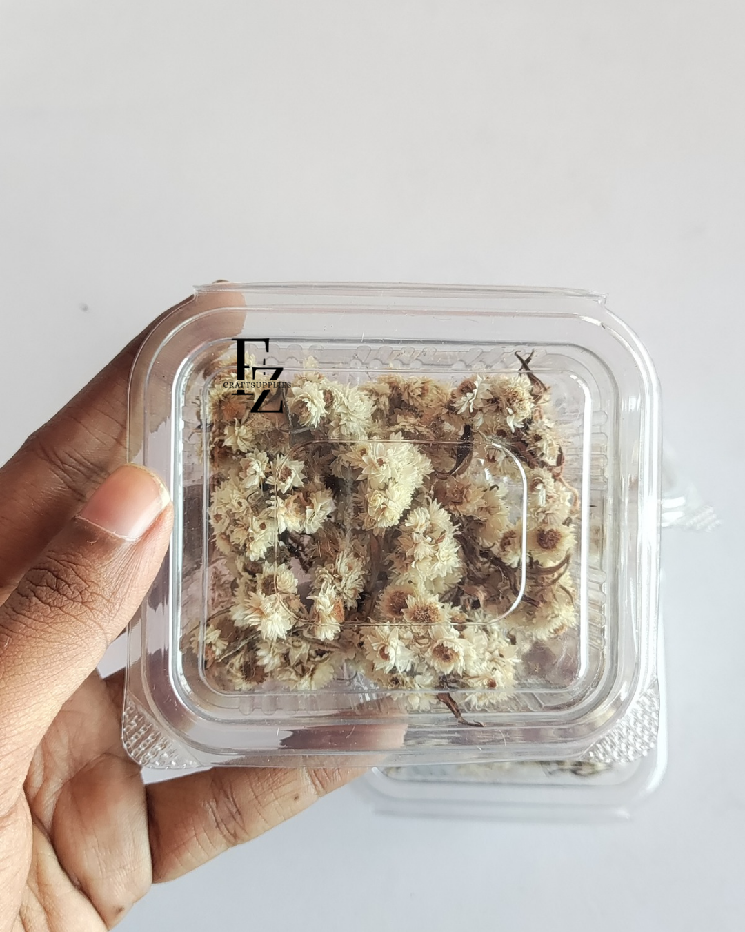 Himalayan Daises - White