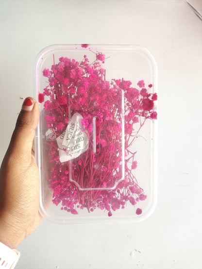 Baby Breath/ Gypsy Dry Flower Box