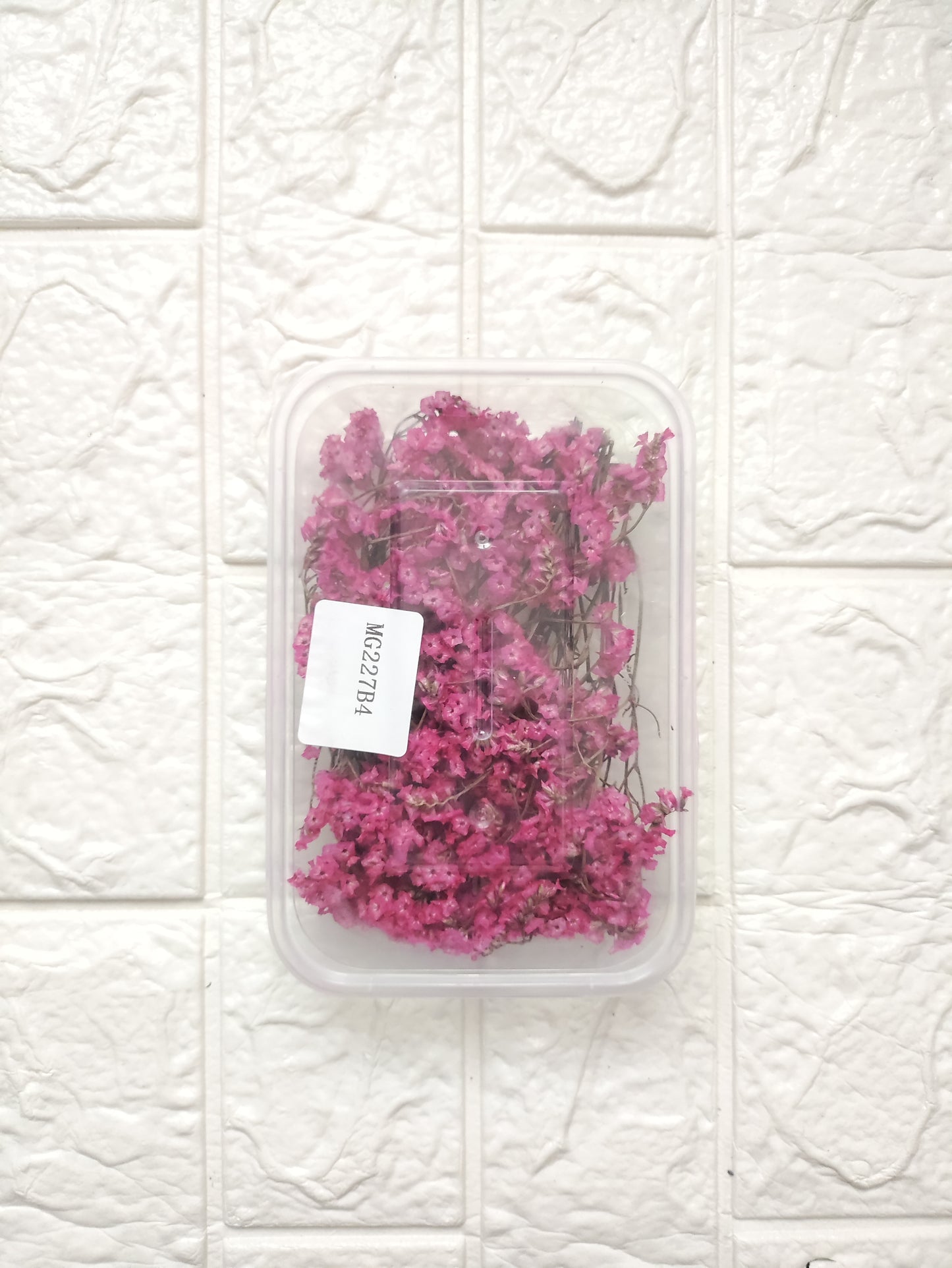 Dry Flower Box - B18