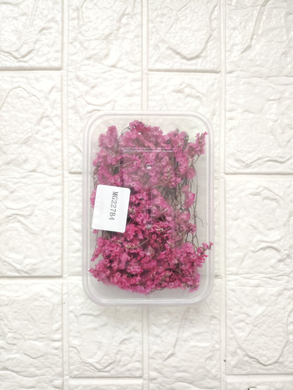 Dry Flower Box - B18