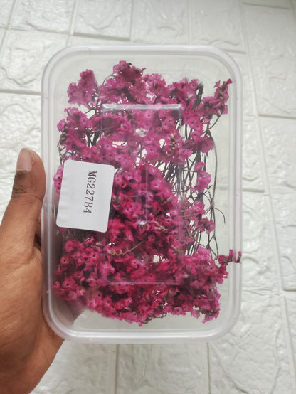 Dry Flower Box - B18