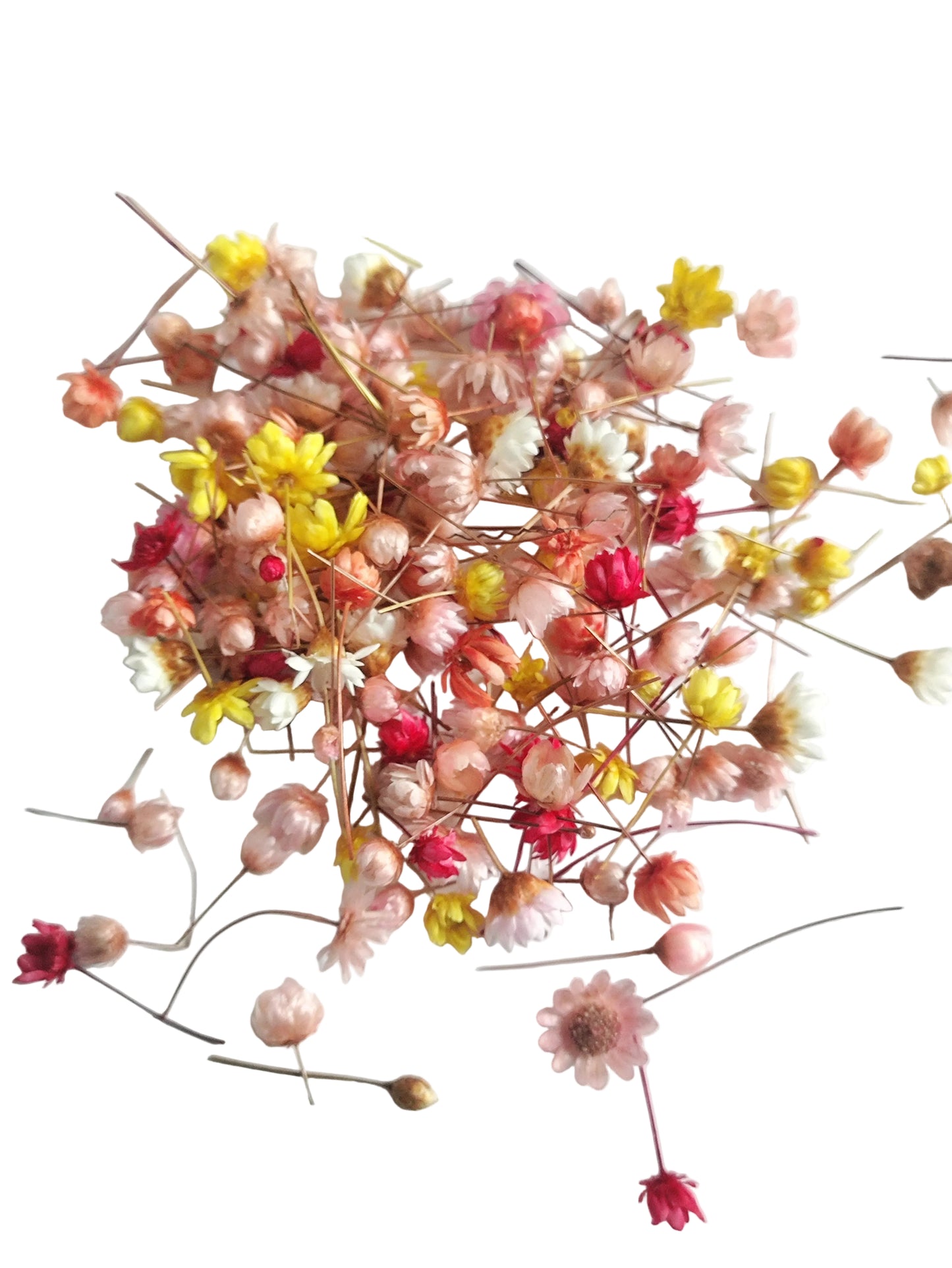 Mini Dry Flower box Type 3