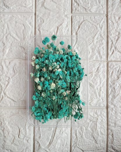 Dry Baby Breath/ Gypsy Box - Blue