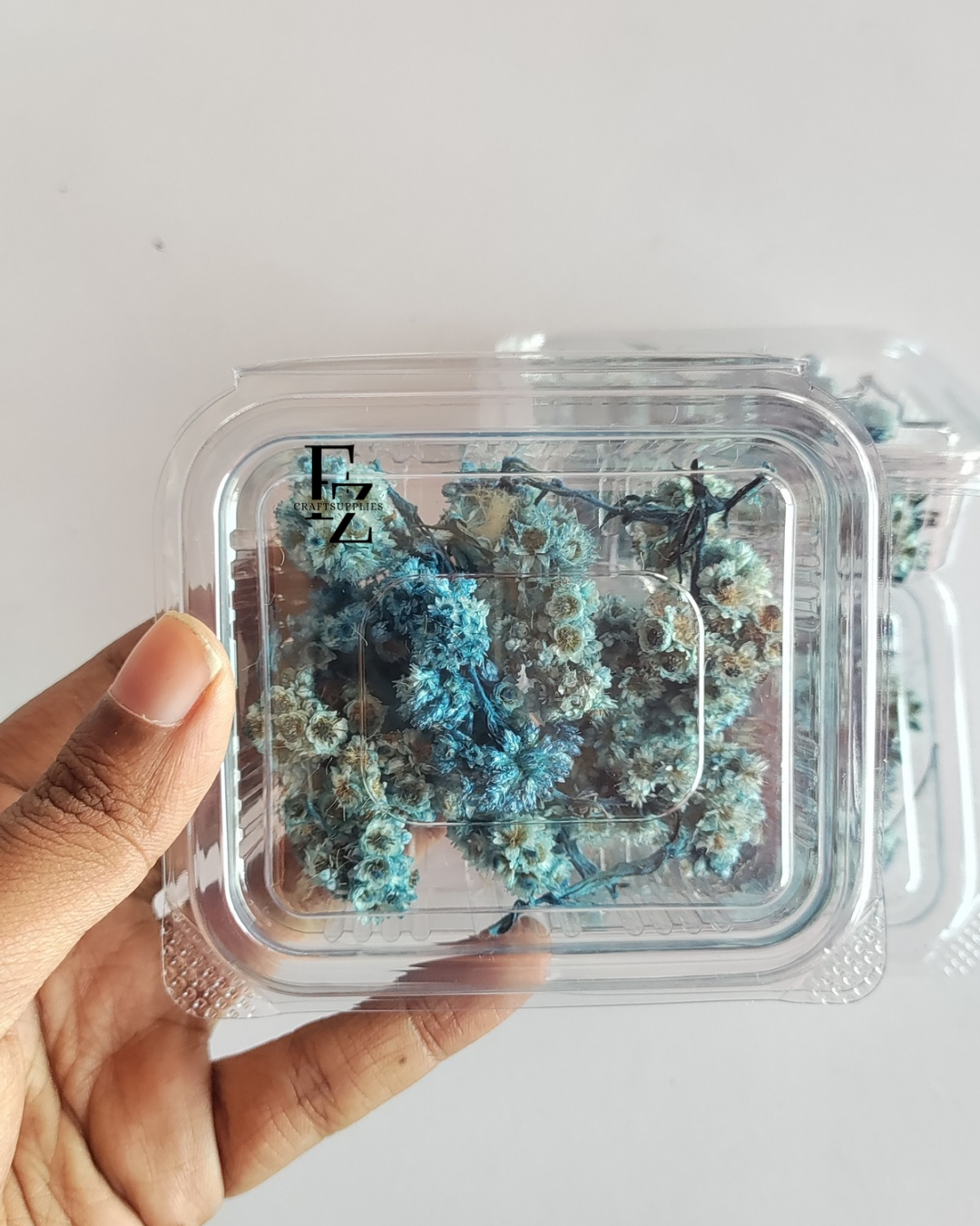 Himalayan Daises - Blue