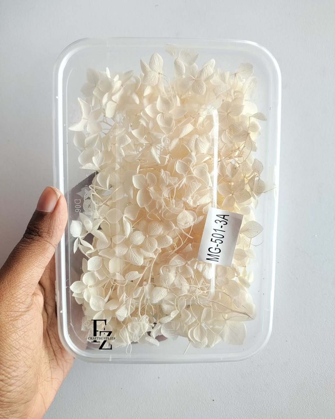 Hydrangea Dry Flower Box D51 - Half White