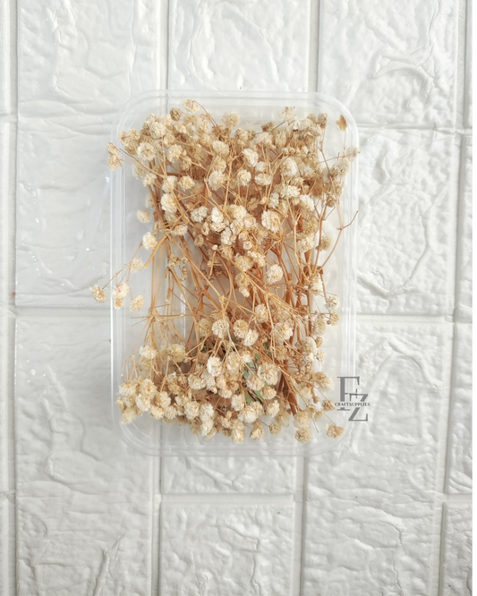 Baby Breath - Half White