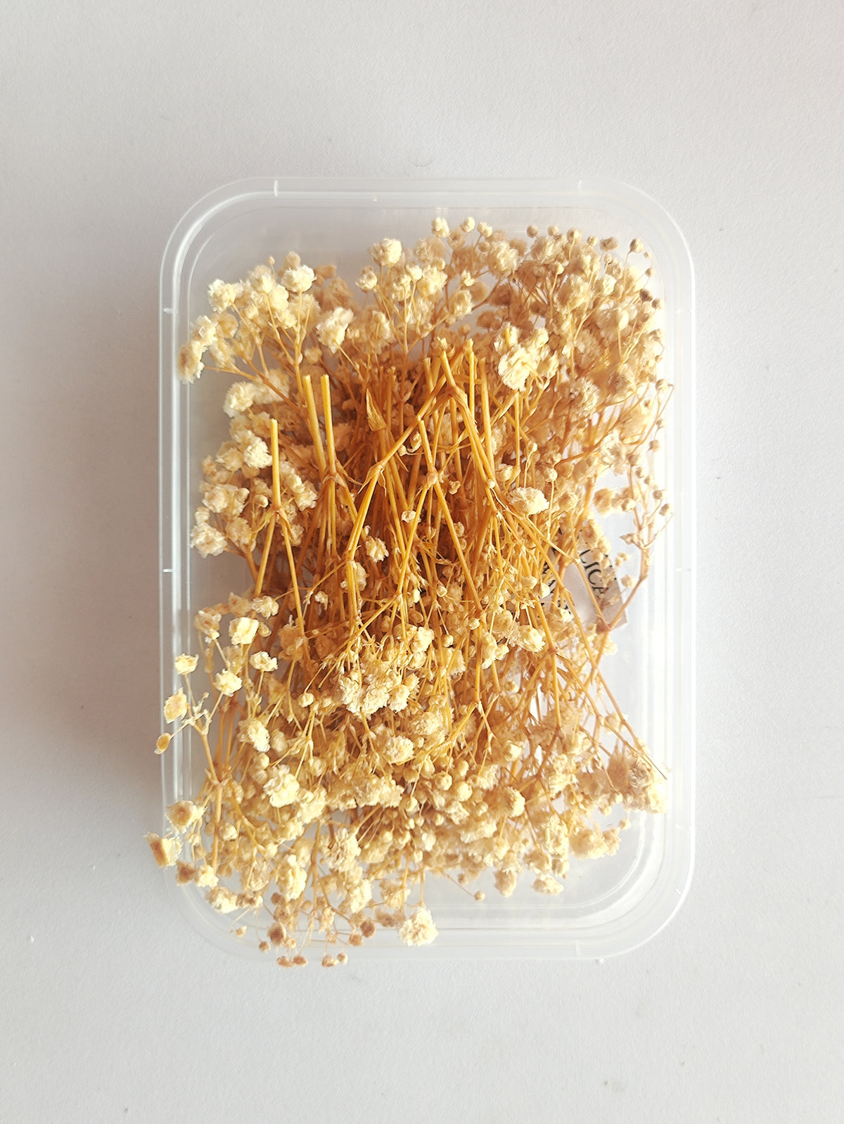 Baby Breath/ Gypsy Dry Flower Box